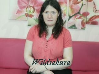 Wildsakura