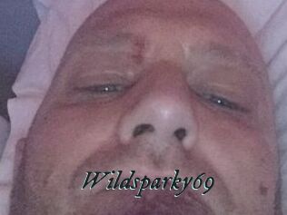 Wildsparky69