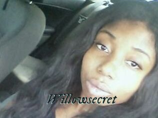 Willow_secret