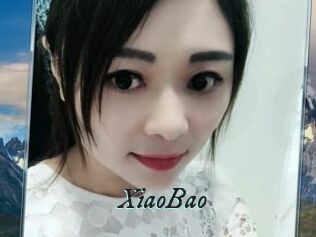 XiaoBao