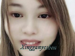 Xingganyeshou