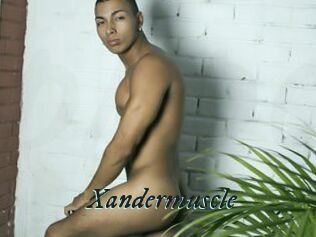 Xandermuscle