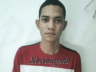 Xboybiigcock