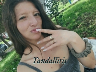 Yandalliris