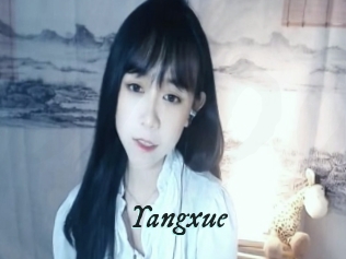Yangxue