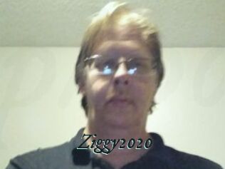 Ziggy2020