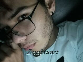 Zeusbrunet