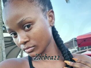 Ziebea22
