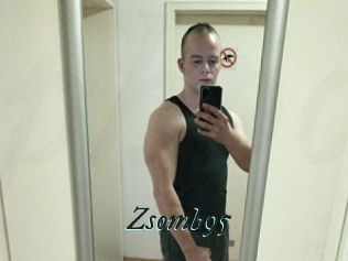 Zsomb95